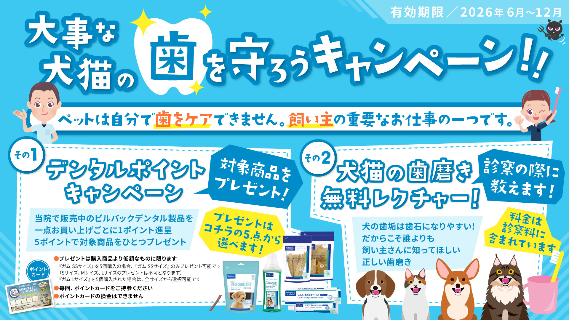 歯を守ろうキャンペーン 2026年6月~12月